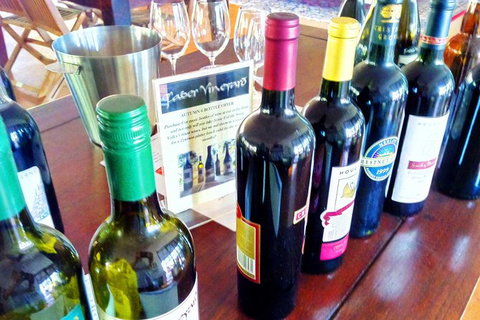 Swan Valley Wine Time (Private) Day Tour - Foster Accommodation 1