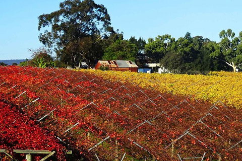 Swan Valley Wine Time (Private) Day Tour - Foster Accommodation 0