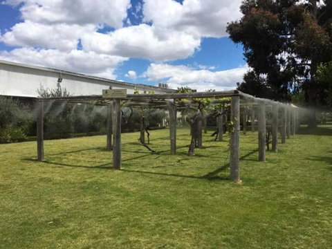 Swan Valley Gourmet Wine Cruise From Perth - Foster Accommodation 5