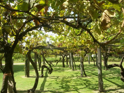 Swan Valley Gourmet Wine Cruise From Perth - Foster Accommodation 8