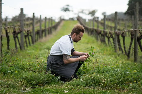 Vasse Felix Epicurean Tour And Tasting Experience With 5 Course Lunch - Foster Accommodation 9