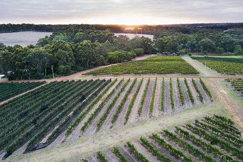 Vasse Felix Epicurean Tour And Tasting Experience With 5 Course Lunch - Foster Accommodation 7