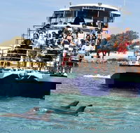 Mandurah Dolphin and Scenic Marine Cruise - Foster Accommodation