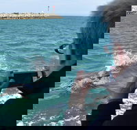 Mandurah Dolphin Island Adventure - Foster Accommodation