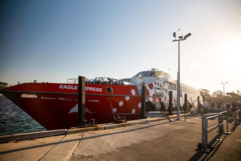 Rottnest Island Round-Trip Ferry From Perth Or Fremantle - Foster Accommodation 1