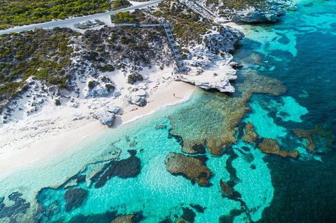 Rottnest Island Round-Trip Ferry From Perth Or Fremantle - Foster Accommodation 2