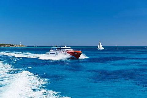 Rottnest Island Round-Trip Ferry From Perth Or Fremantle - Foster Accommodation 5