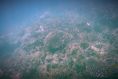 Guided Jet Ski And Snorkel Tour From Exmouth - Foster Accommodation 1