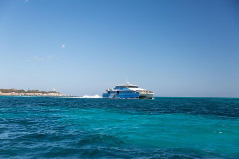 Rottnest Bike & Ferry Package From Perth - Foster Accommodation 1