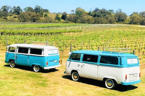 VW Kombi Wine Tour In The Swan Valley - Foster Accommodation 6