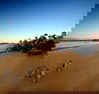 Phillip Island Ultimate Penguin Eco Tour or Skybox Experience - Foster Accommodation