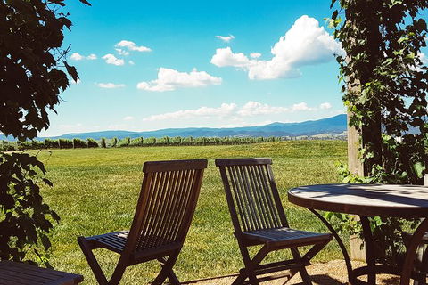 Alternative Yarra Valley Wine Tasting Tour Departing From Melbourne - Foster Accommodation 11