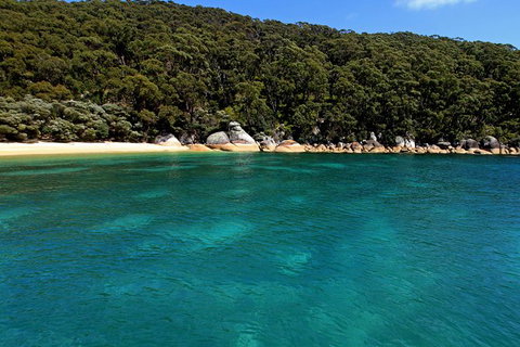 Wilsons Promontory Full Day Cruise - Foster Accommodation 5