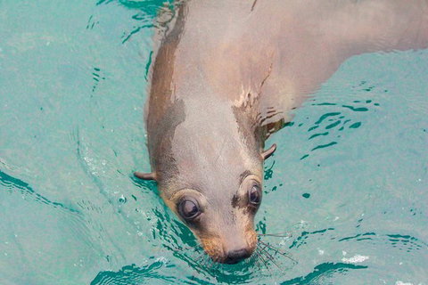 Wilsons Promontory Full Day Cruise - Foster Accommodation 6