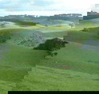 Day Tour of Phillip Island  Surrounding Region - Foster Accommodation