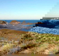 Phillip Island Walking  Bird Watching Tour - Foster Accommodation