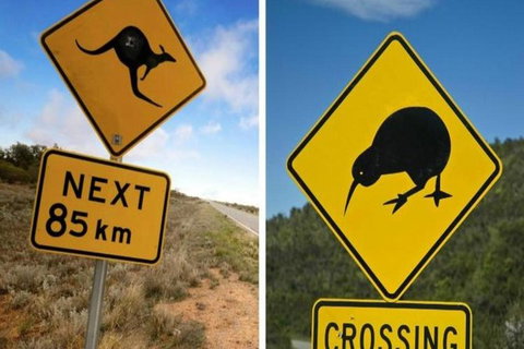 Aroha Tangata Australia And New Zealand 20 Day - Foster Accommodation 0