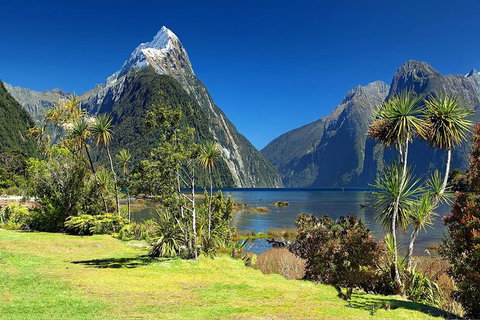 Aroha Tangata Australia And New Zealand 20 Day - Foster Accommodation 1