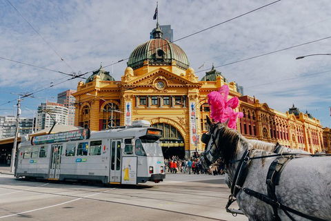 A Full Day In Melbourne With A Local: Private & Personalized - Foster Accommodation 9