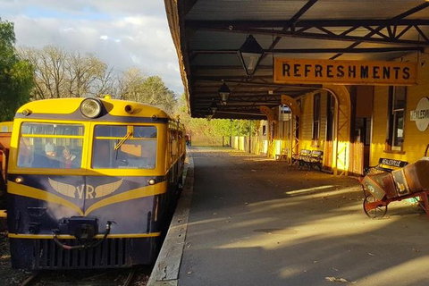 Steam Train, Yarra Valley & Healesville Wildlife Sanctuary Full Day Tour - Foster Accommodation 6