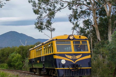 Steam Train, Yarra Valley & Healesville Wildlife Sanctuary Full Day Tour - Foster Accommodation 3