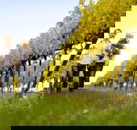 Overnight Daylesford and Macedon Ranges Gourmet Food Trail Tour from Melbourne - Foster Accommodation