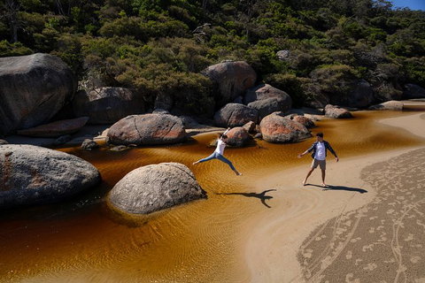 Wilsons Promontory Walks And Wildlife Tour From Melbourne - Foster Accommodation 3
