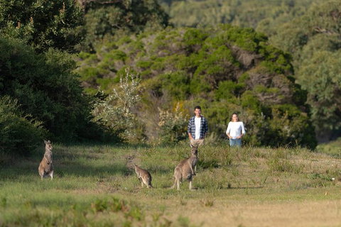 Wilsons Promontory Walks And Wildlife Tour From Melbourne - Foster Accommodation 9