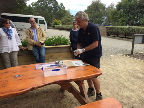 Bruny Island All Inclusive Gourmet Day Trip From Hobart - Foster Accommodation 17