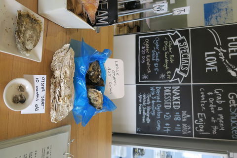 Bruny Island All Inclusive Gourmet Day Trip From Hobart - Foster Accommodation 12