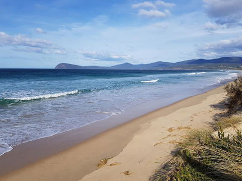 Bruny Island All Inclusive Gourmet Day Trip From Hobart - Foster Accommodation 6