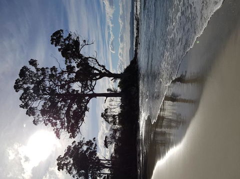 Bruny Island All Inclusive Gourmet Day Trip From Hobart - Foster Accommodation 5