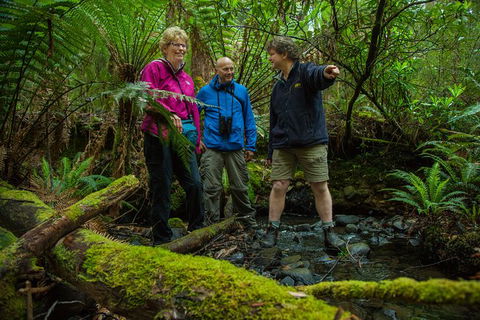 Bruny Island All Inclusive Gourmet Day Trip From Hobart - Foster Accommodation 28