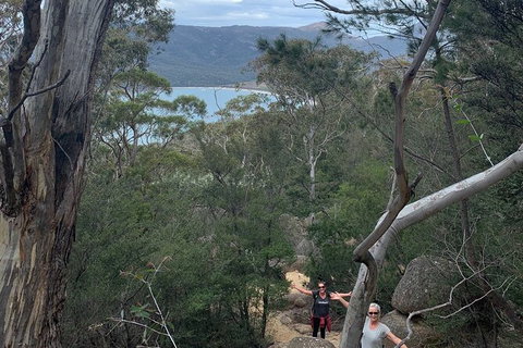 Wineglass Bay And Freycinet National Park Active Day Trip From Hobart - Foster Accommodation 14