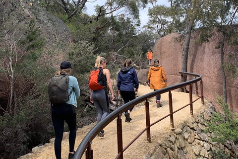 Wineglass Bay And Freycinet National Park Active Day Trip From Hobart - Foster Accommodation 25