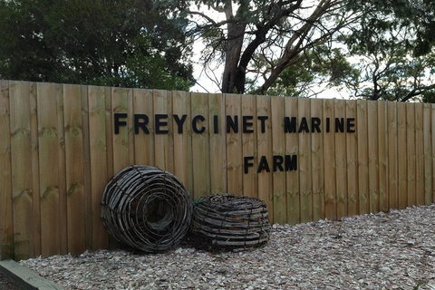 Wineglass Bay And Freycinet National Park Active Day Trip From Hobart - Foster Accommodation 20