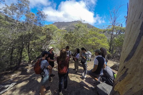 Wineglass Bay And Freycinet National Park Active Day Trip From Hobart - Foster Accommodation 9