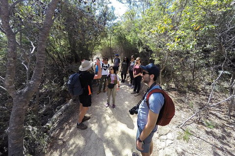 Wineglass Bay And Freycinet National Park Active Day Trip From Hobart - Foster Accommodation 19