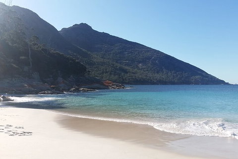 Wineglass Bay And Freycinet National Park Active Day Trip From Hobart - Foster Accommodation 10