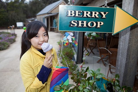 Wineglass Bay And Freycinet National Park Active Day Trip From Hobart - Foster Accommodation 11