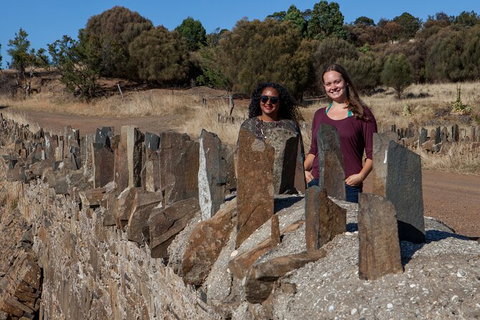 Wineglass Bay And Freycinet National Park Active Day Trip From Hobart - Foster Accommodation 8