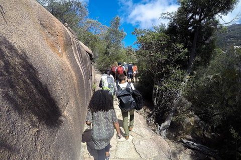 Wineglass Bay And Freycinet National Park Active Day Trip From Hobart - Foster Accommodation 21