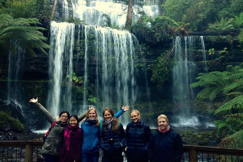 Mt Field National Park Active Day-Trip Including Bonorong And Mt Wellington - Foster Accommodation 1