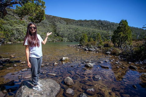 Mt Field National Park Active Day-Trip Including Bonorong And Mt Wellington - Foster Accommodation 12