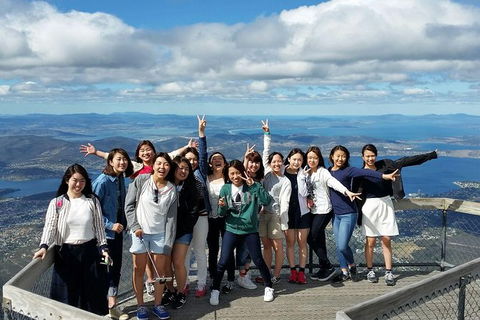 Mt Field National Park Active Day-Trip Including Bonorong And Mt Wellington - Foster Accommodation 3