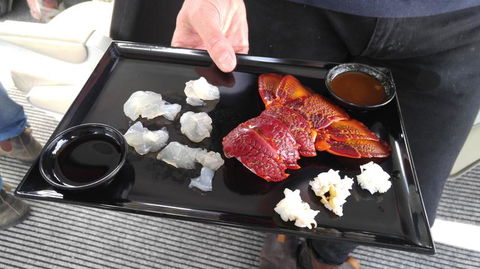 Fresh From The Ocean: Tasmanian Seafood Gourmet Full-Day Cruise Including Lunch - Foster Accommodation 5