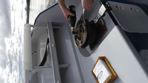 Fresh From The Ocean: Tasmanian Seafood Gourmet Full-Day Cruise Including Lunch - Foster Accommodation 9
