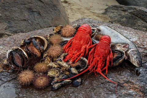Fresh From The Ocean: Tasmanian Seafood Gourmet Full-Day Cruise Including Lunch - Foster Accommodation 16