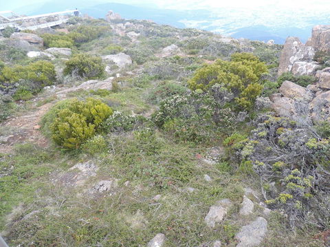 Mt Wellington Tour And MONA Admission - Foster Accommodation 8