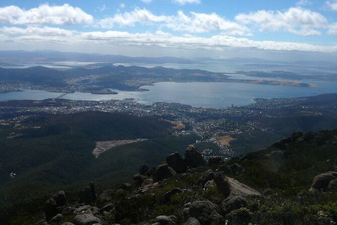 Mt Wellington Tour And MONA Admission - Foster Accommodation 15